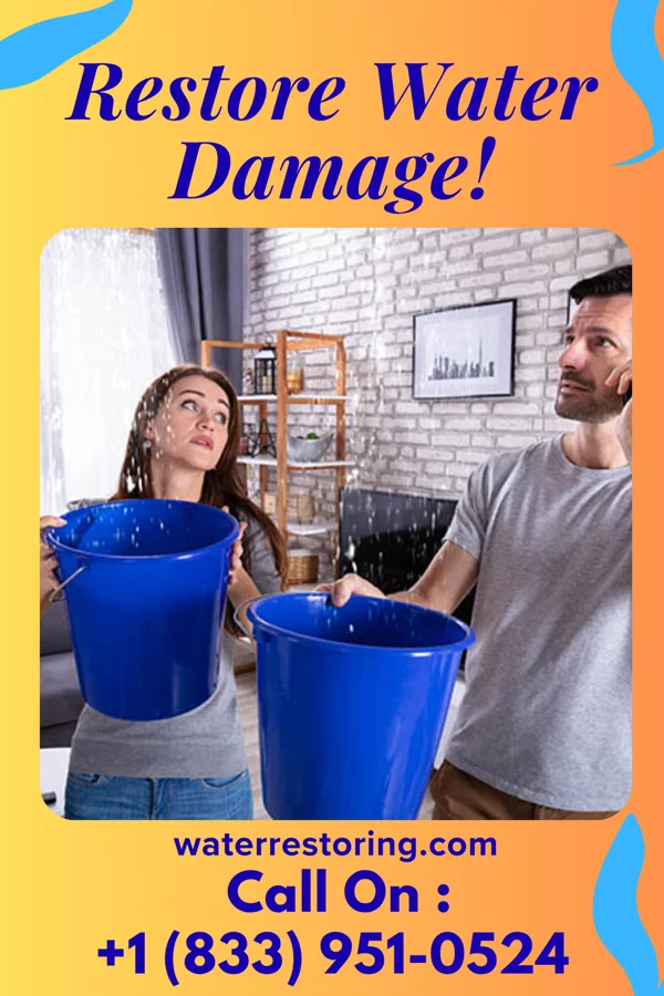 water restoration Expert Water Works Specialists White City