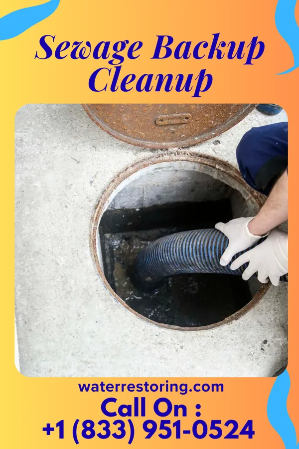 Sewage Backup Cleanup in White City, IL