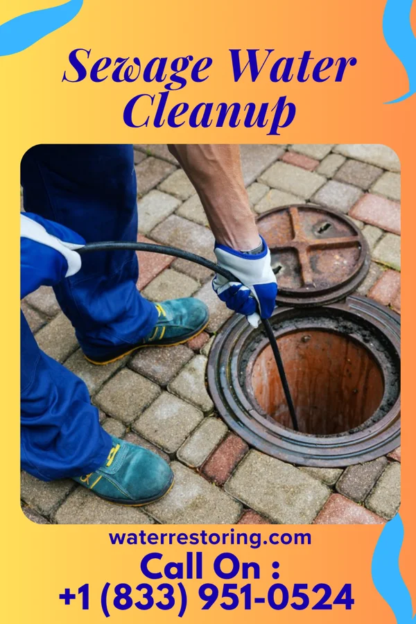Sewage Water Cleanup in White City, IL