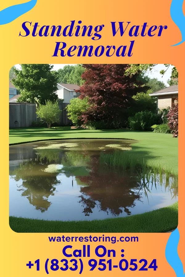 Standing Water Removal in White City, IL